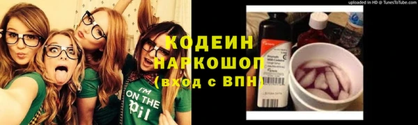 СК Гусь-Хрустальный