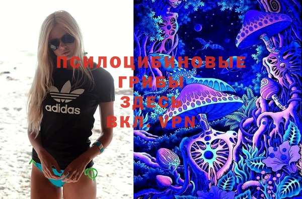 ALPHA PVP Гусиноозёрск