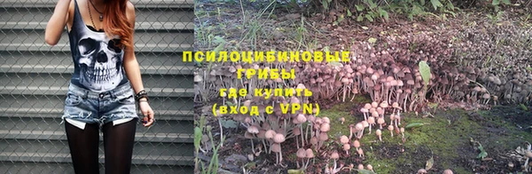 мет Гусев