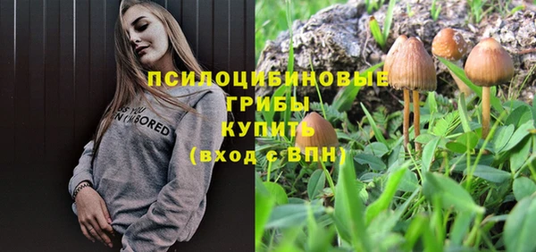 мет Гусев