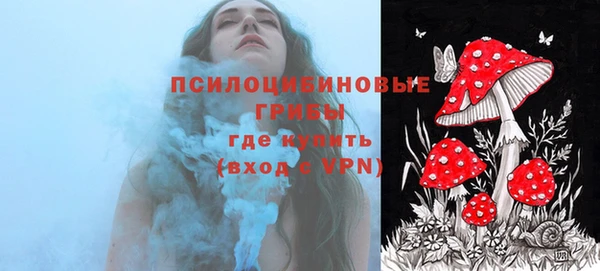 ALPHA PVP Гусиноозёрск