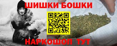 индика Мариинск