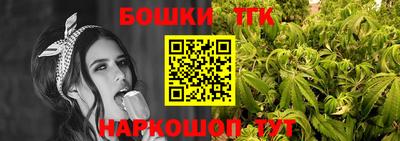 индика Мариинск