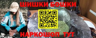 индика Мариинск