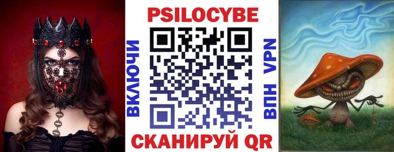 Галлюциногенные грибы Psilocybine cubensis  Купить  Гай 