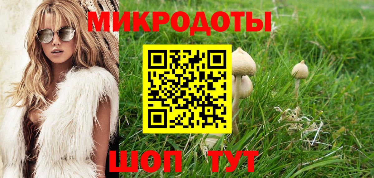 Галлюциногенные грибы ЛСД  Гай  Псилоцибиновые грибы ЛСД 