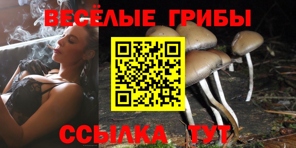 Псилоцибиновые грибы мухоморы Гай