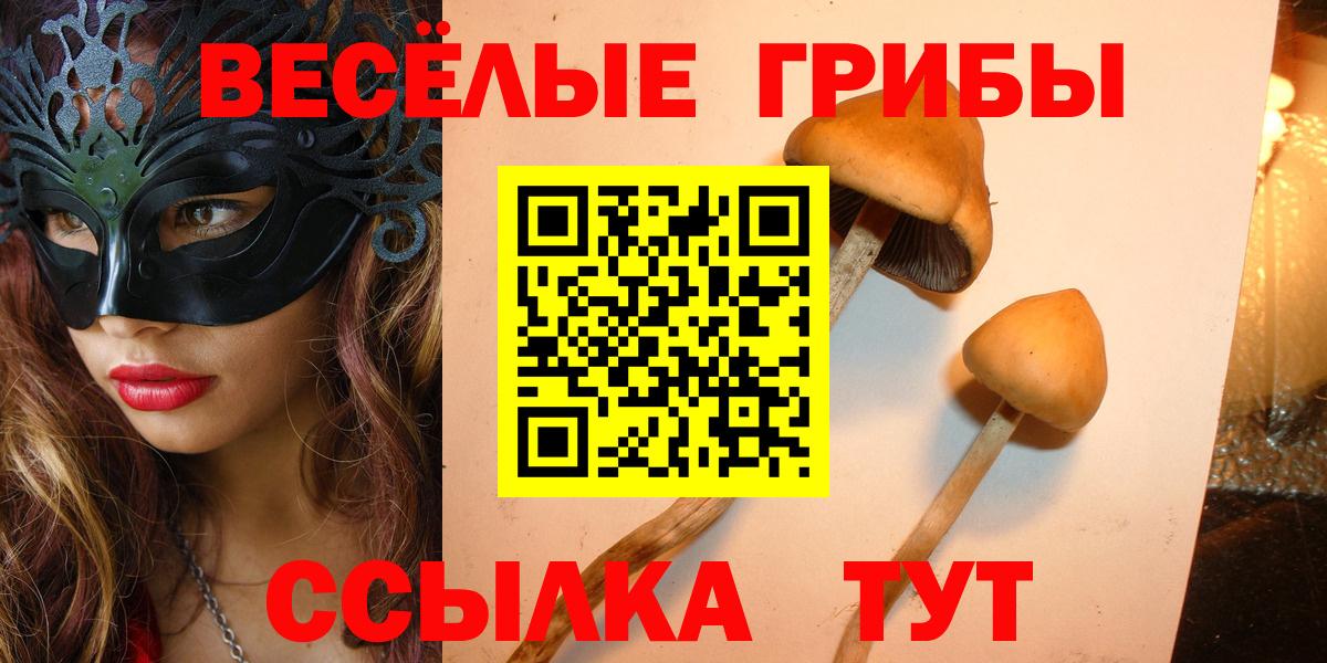 Псилоцибиновые грибы Magic Shrooms Гай