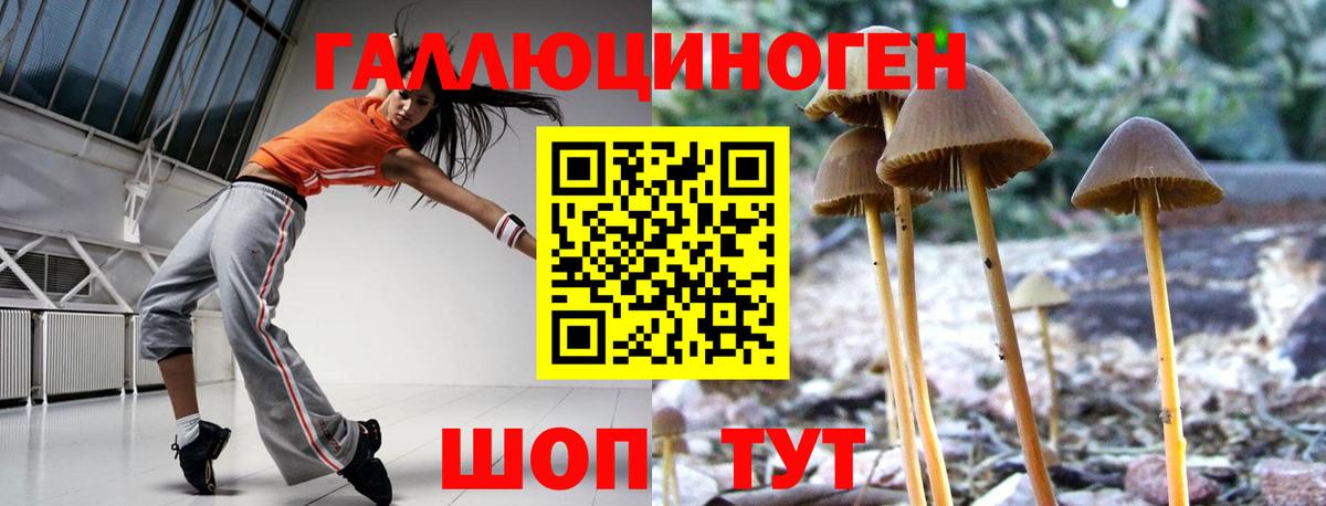 Гай  Галлюциногенные грибы Magic Shrooms  Вход с VPN  Псилоцибиновые грибы Cubensis 