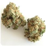 Шишки "White Widow"  (Белая вдова)  Гидропоника -  Бошка VHQ в Гае